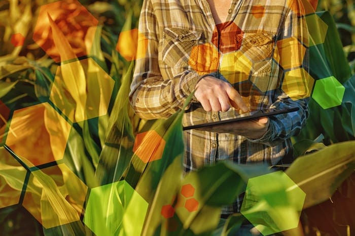 Someone working in field with molecular structure overlay