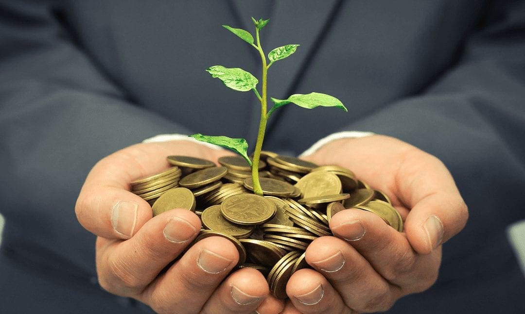 Hands holding coins with plant sprouting out of coins