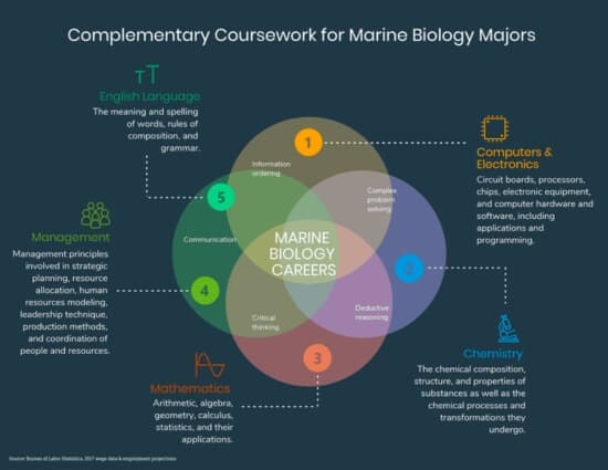 marine biology coursework