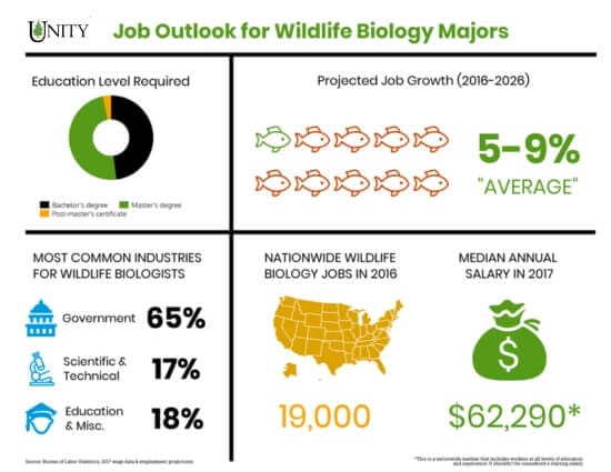 an infographic showing the Job Outlook For Wildlife Biology Majors