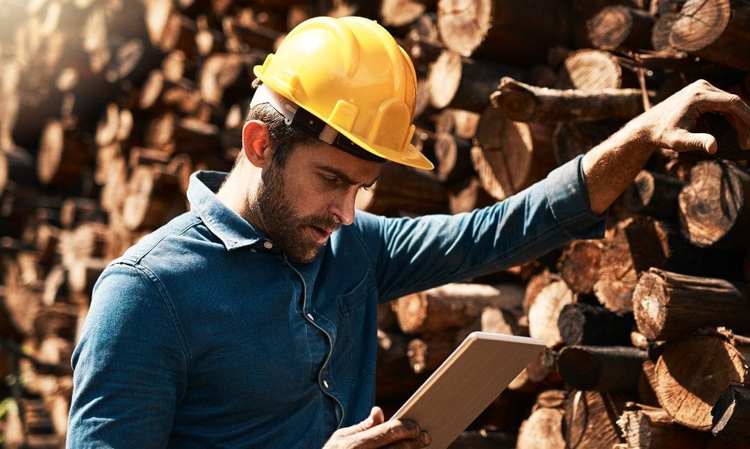 Man in hard hat by logs