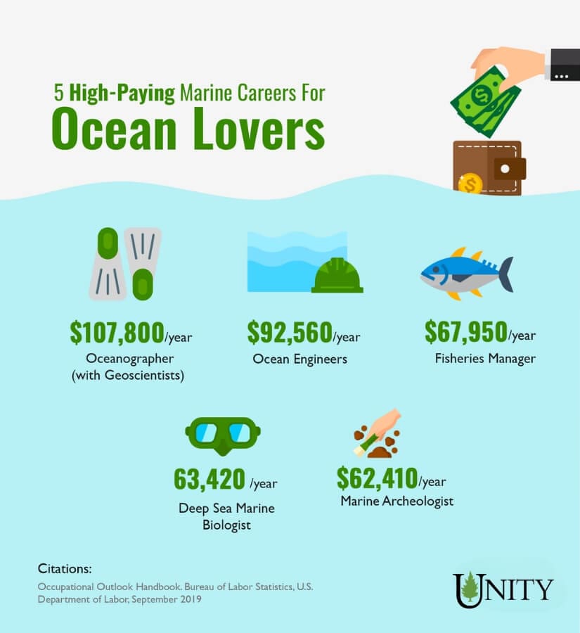 an infographic showing five high paying jobs for ocean lovers
