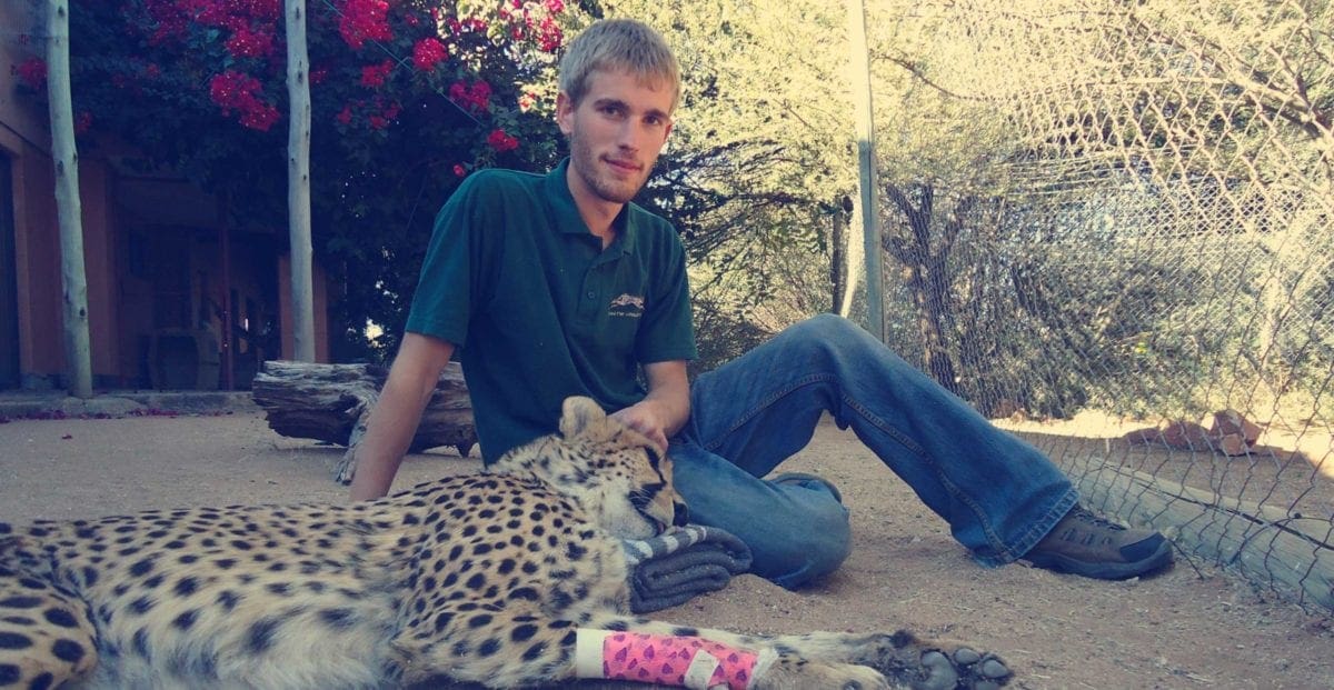 student Eli Walker with an injured cheetah