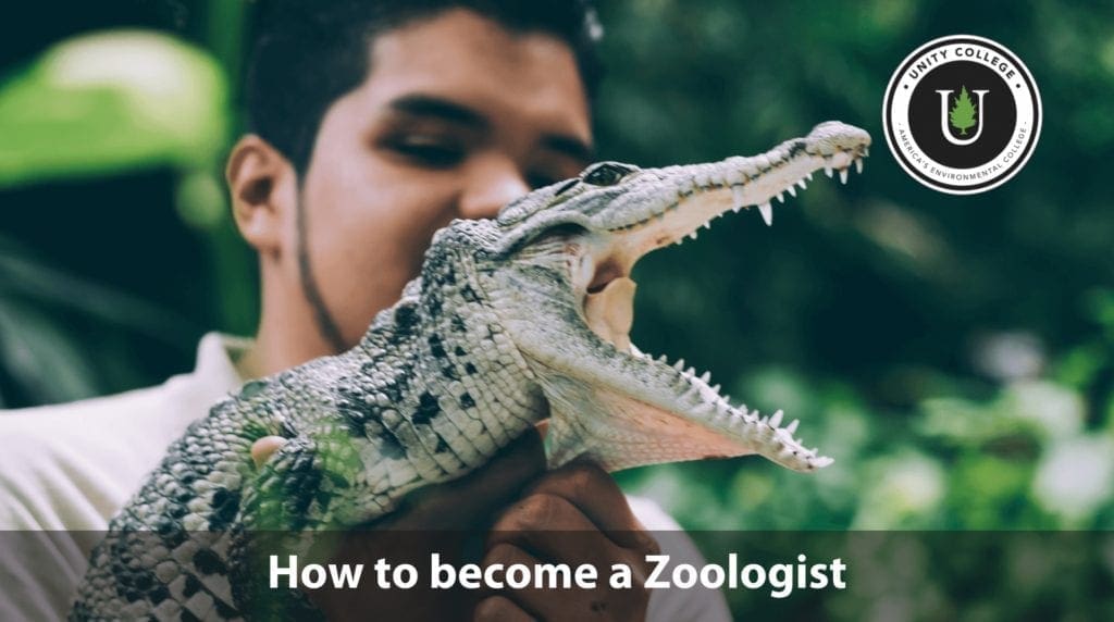 how to become a zoologist