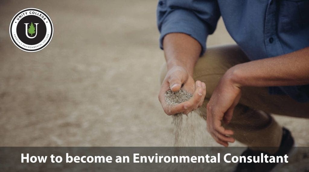 How-to-become-Environmental-Consultant