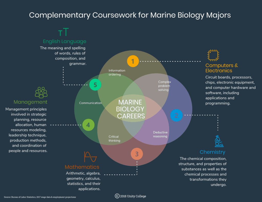 Coursework that complements skills obtained by earning a marine biology degree