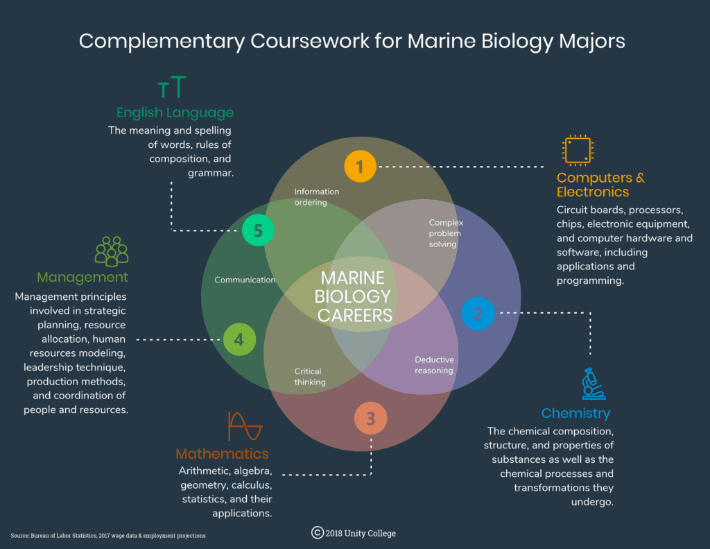 Marine Biology Data Viz 1024x791 