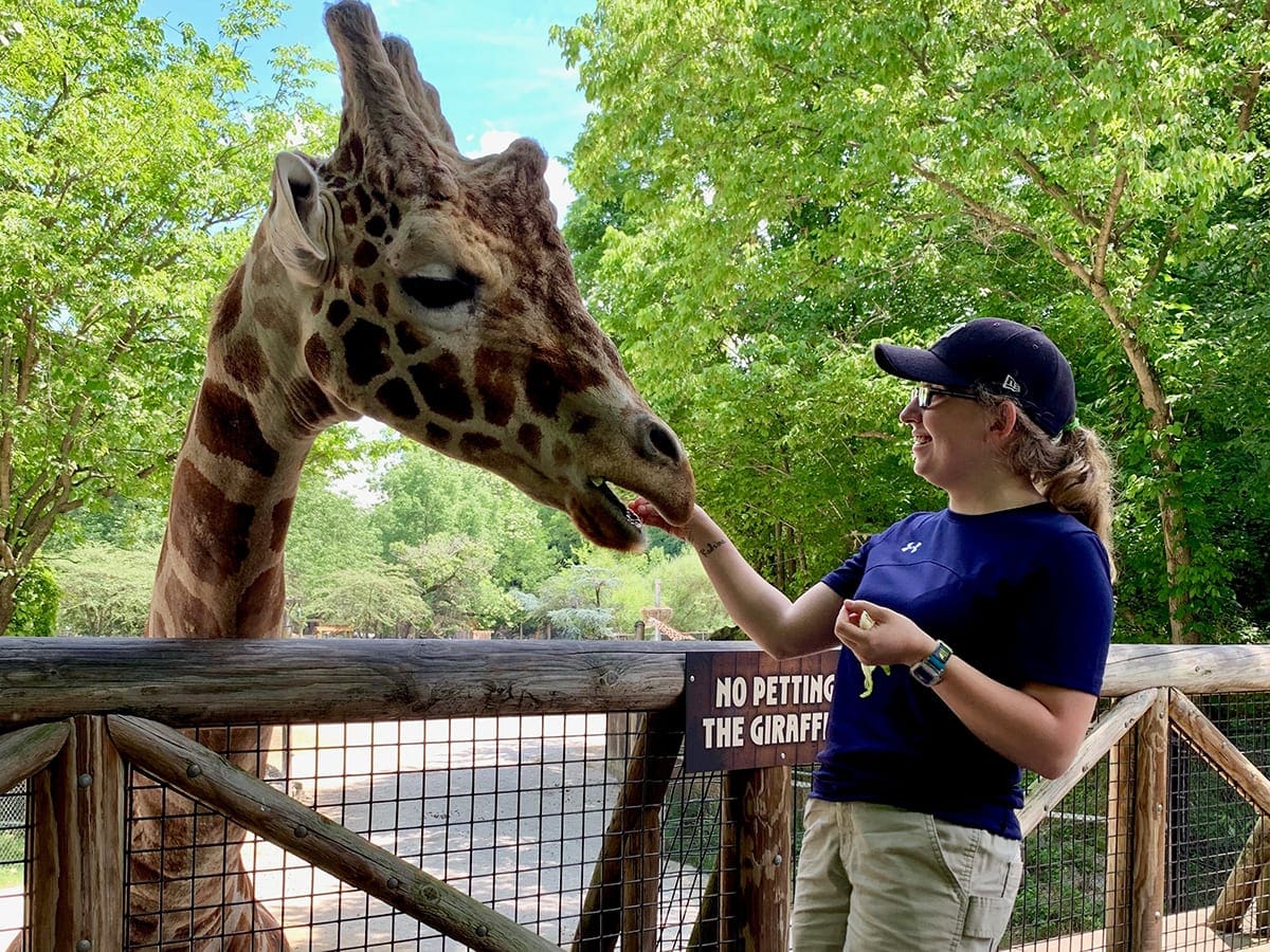 Zoologist At A Zoo