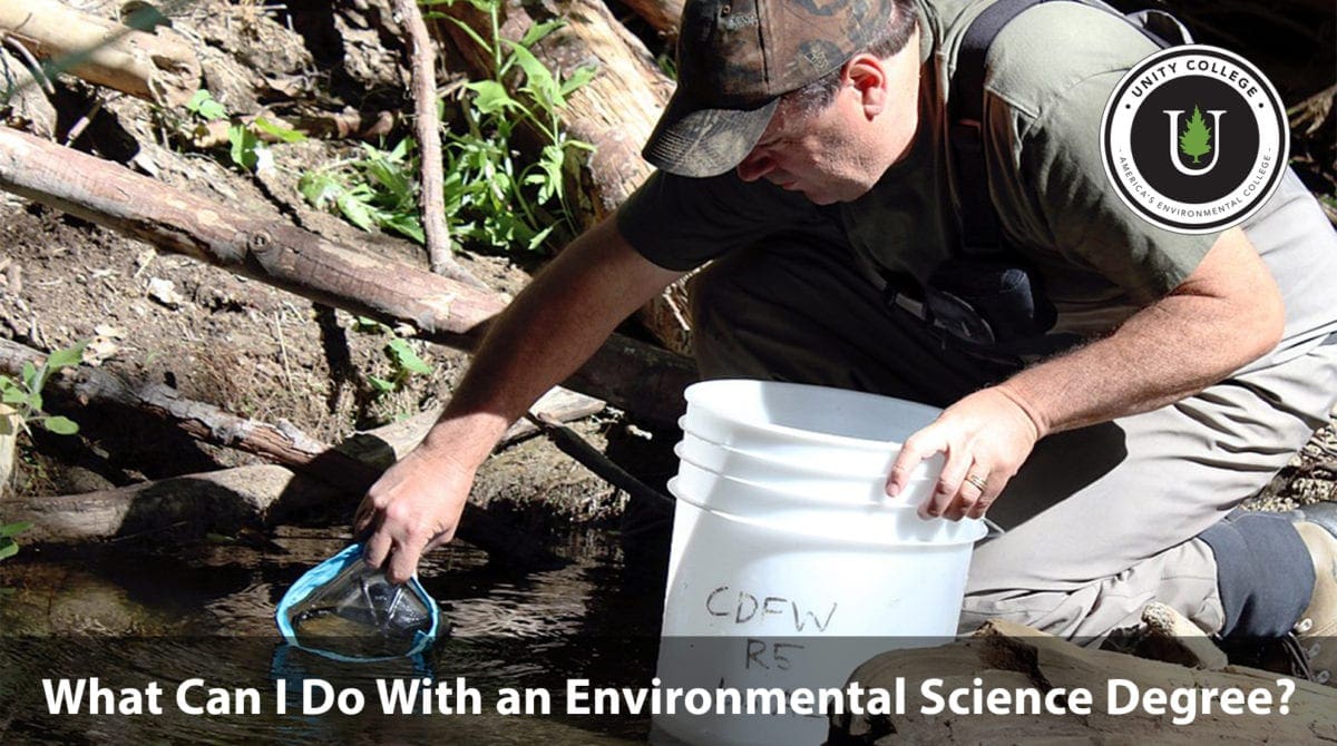 career paths for those pursuing an environmental science degree, broken into three sections: technician, researcher, restorer