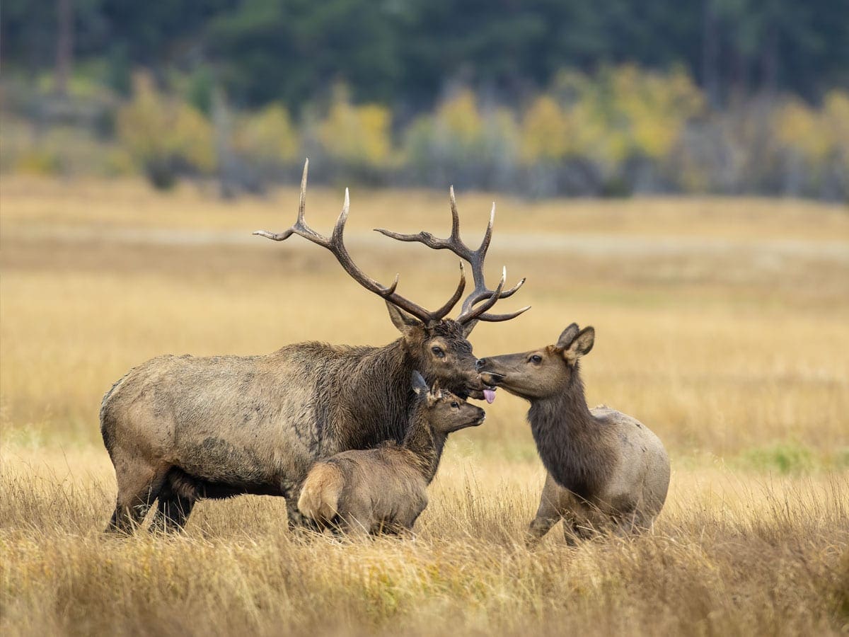 what-can-you-do-with-a-wildlife-biology-degree-unity-college