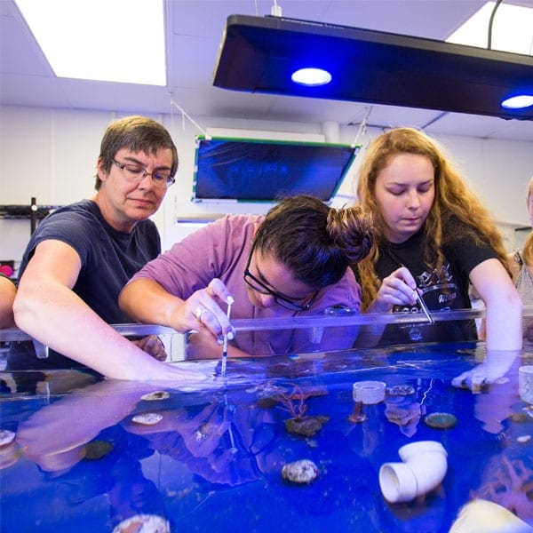 phd programs marine biology