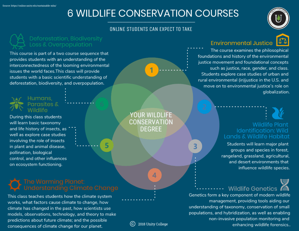 venn diagram of courses for wildlife conservation degree