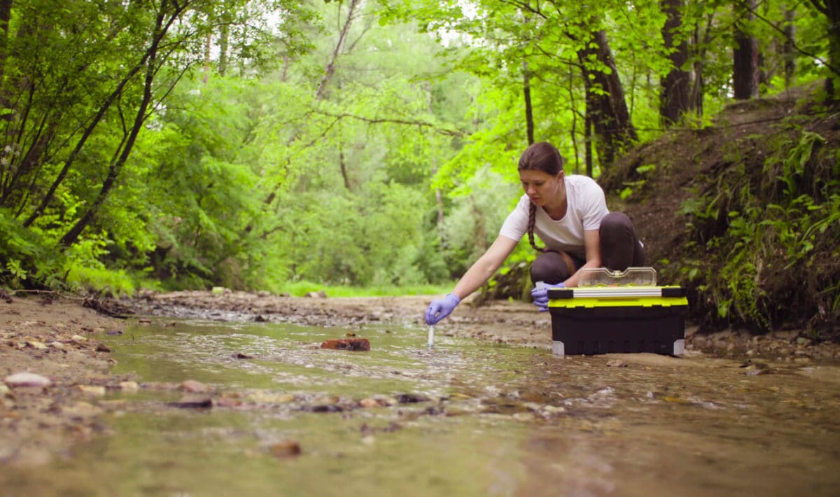 Ecologist At Work