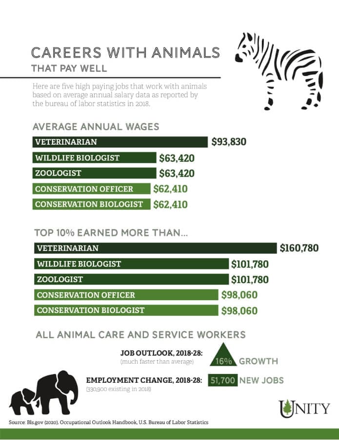 an infographic showing the different salaries for careers that work with animals