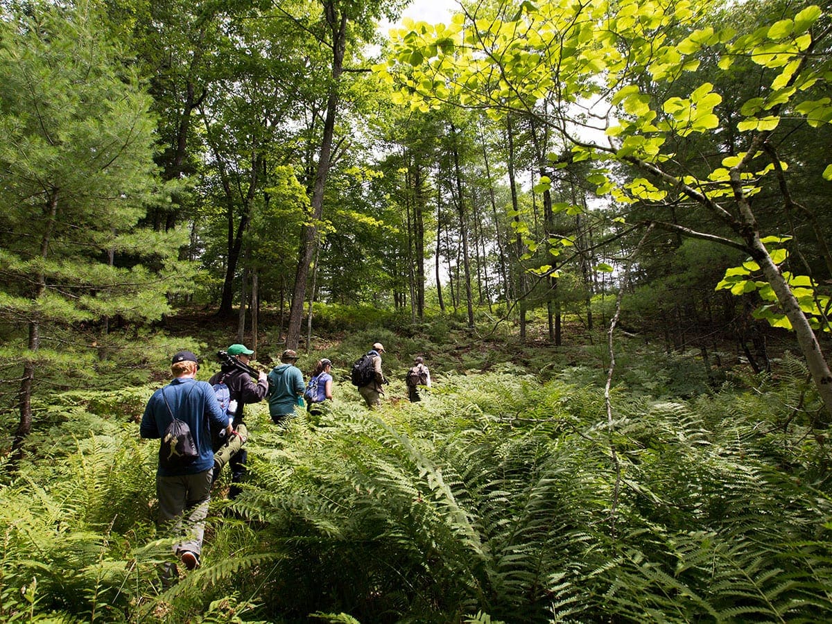 Students walk through a forest with the text "Enterprise Model" overlaying it.