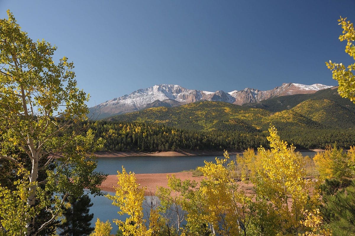 IV. Conservation Efforts and Preservation of Pikes Peak's Biodiversity