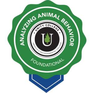 Analyzing Animal Behavior
