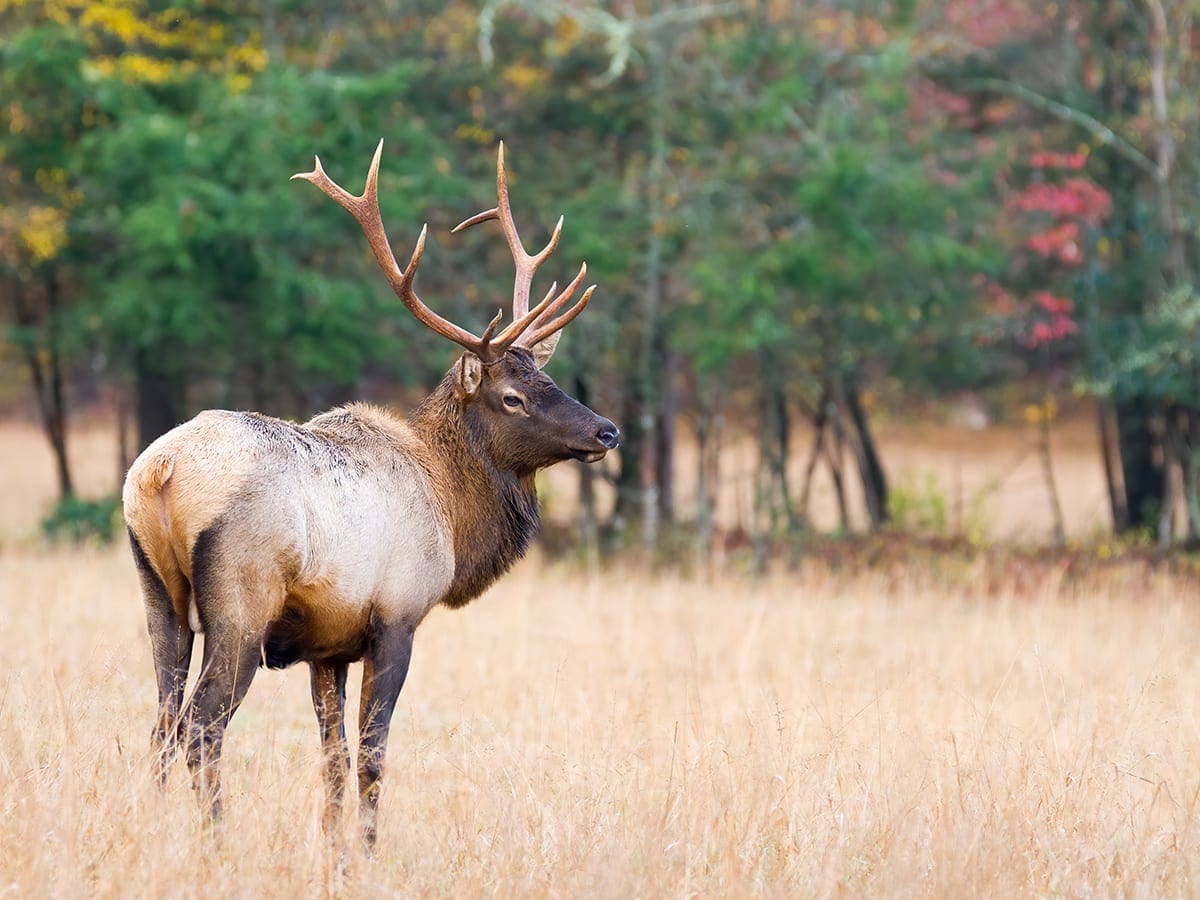 How to Become a Game Warden - Unity Environmental University