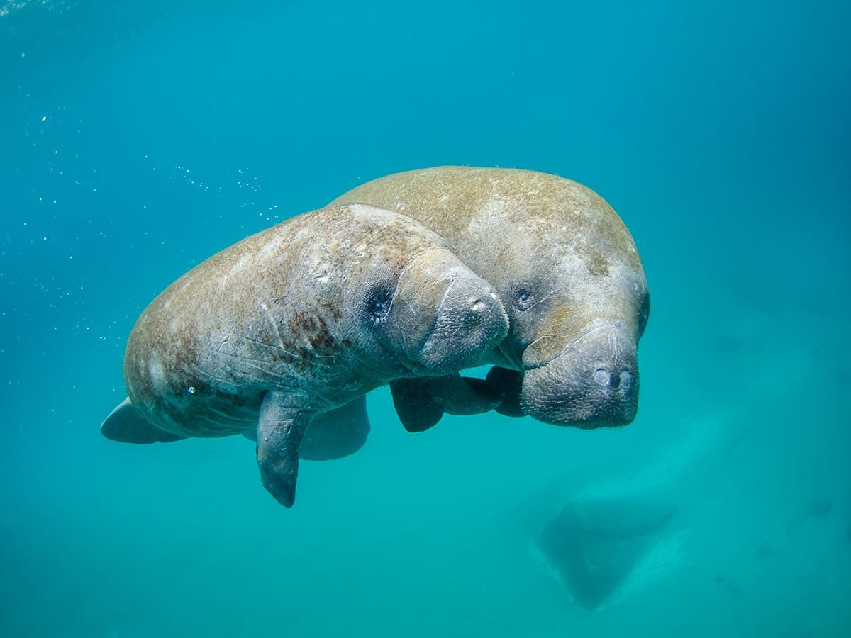 how-much-money-does-a-marine-biologist-make-in-canada-what-is-it-like