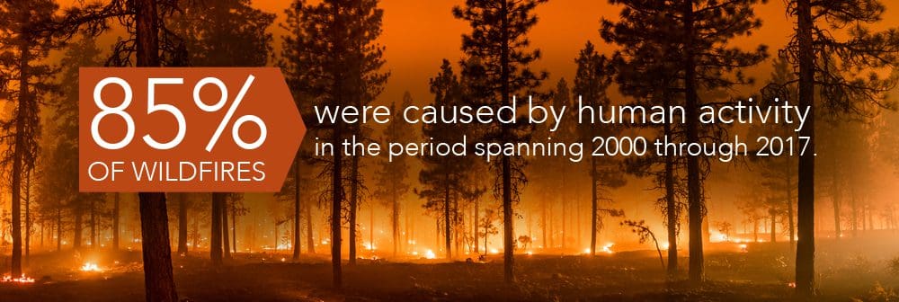 85% wildfires caused by human activity