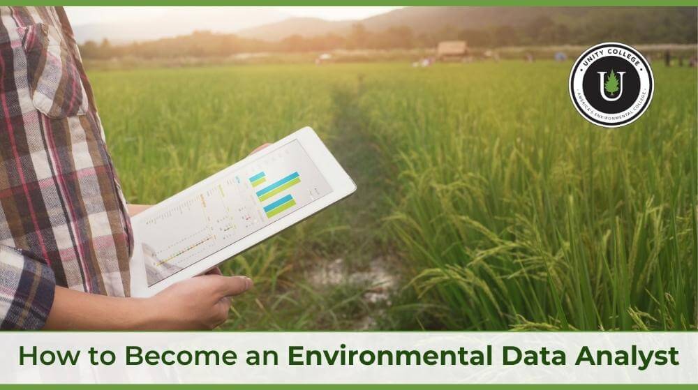 how-to-become-an-environmental-data-analyst-unity-environmental