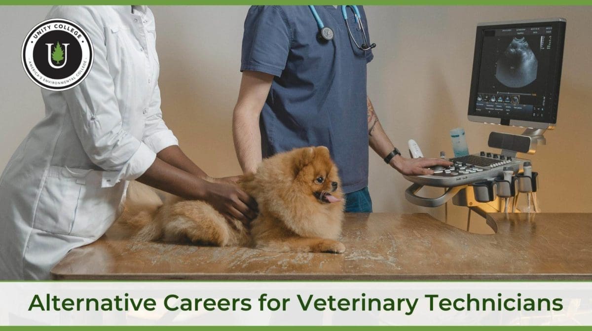 Careers for Veterinary Techs - Unity College