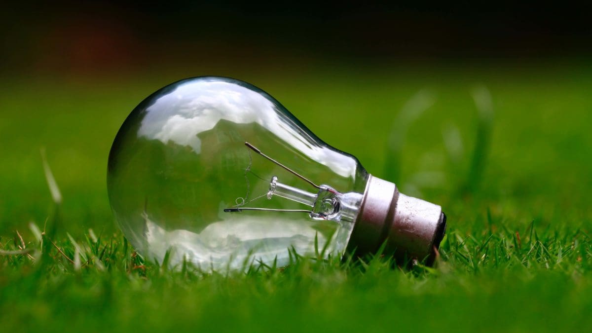 A lightbulb lying in the grass.