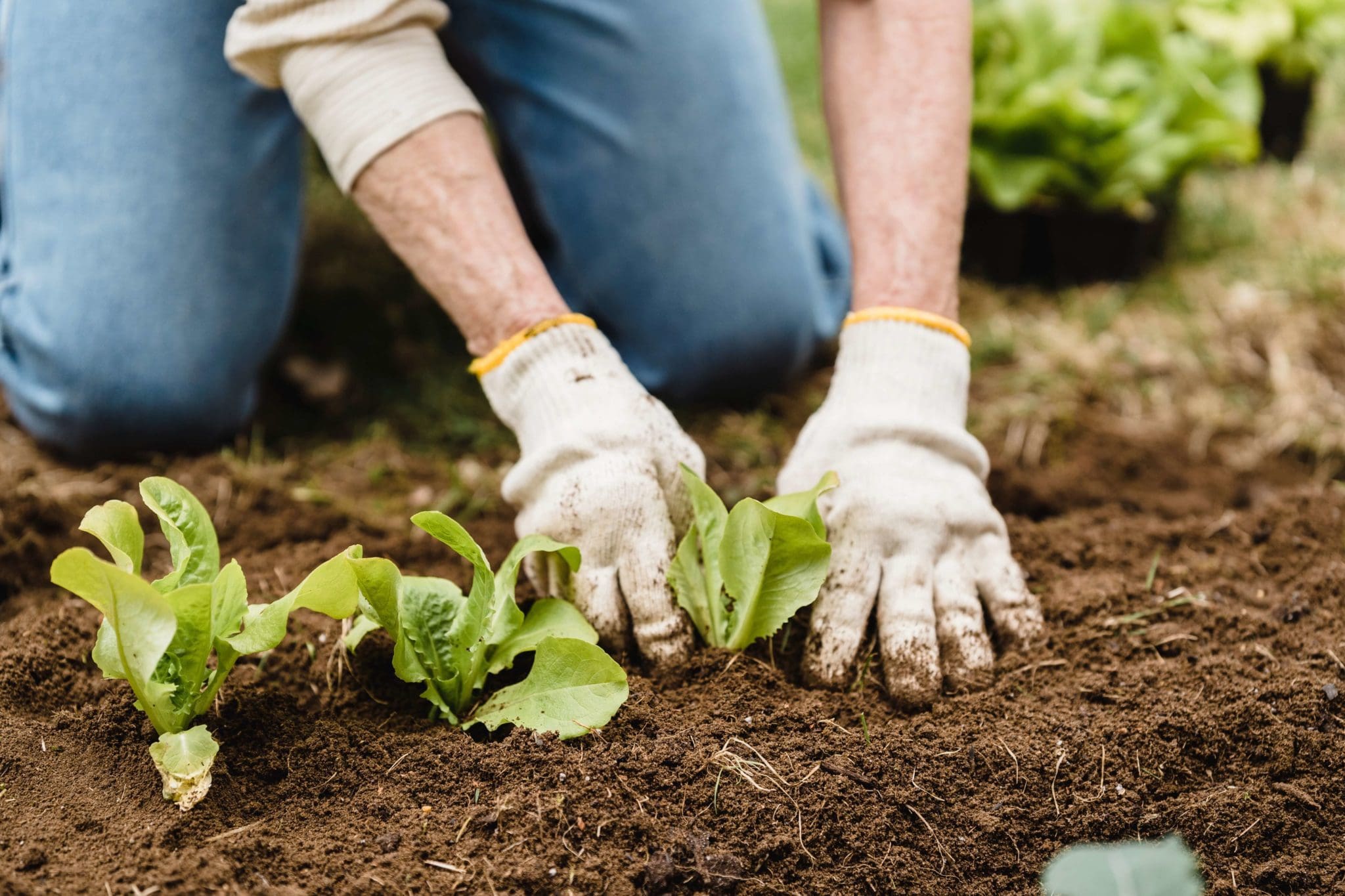 Top 8 Jobs in Nature for Outdoor Enthusiasts