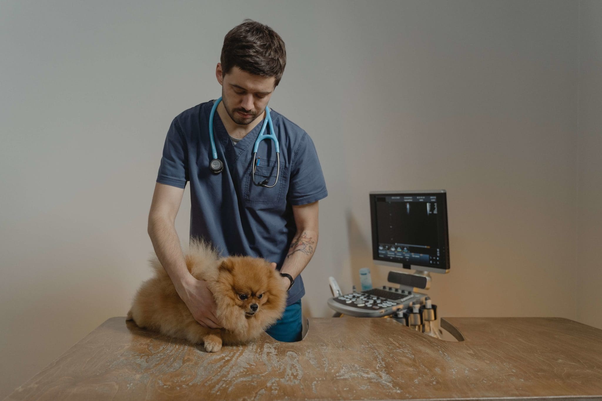 12 Most Rewarding Jobs That Only Require 2 Years Of College   Veterinarian Technician 2048x1365 