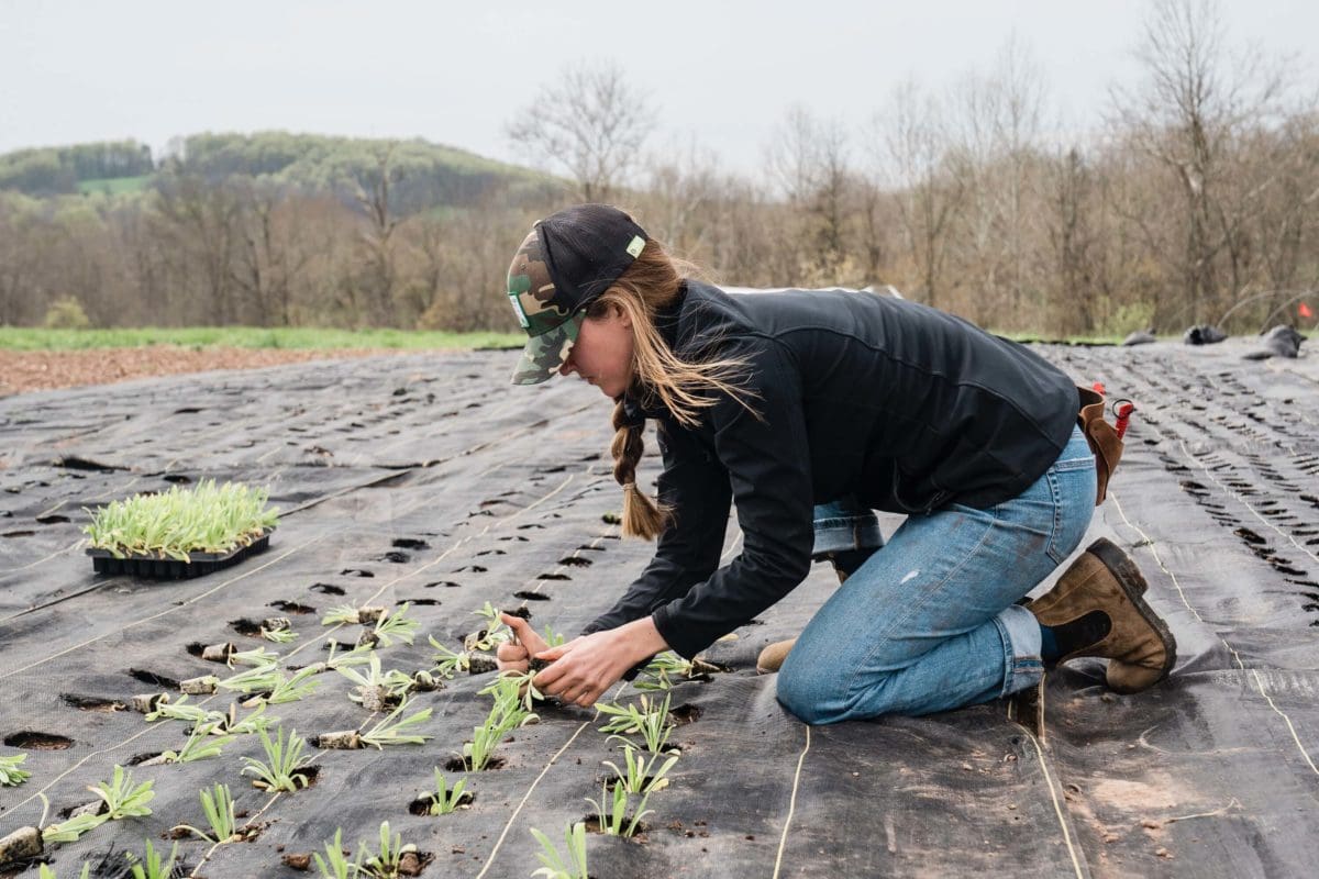 10 Popular Sustainable Agriculture Jobs