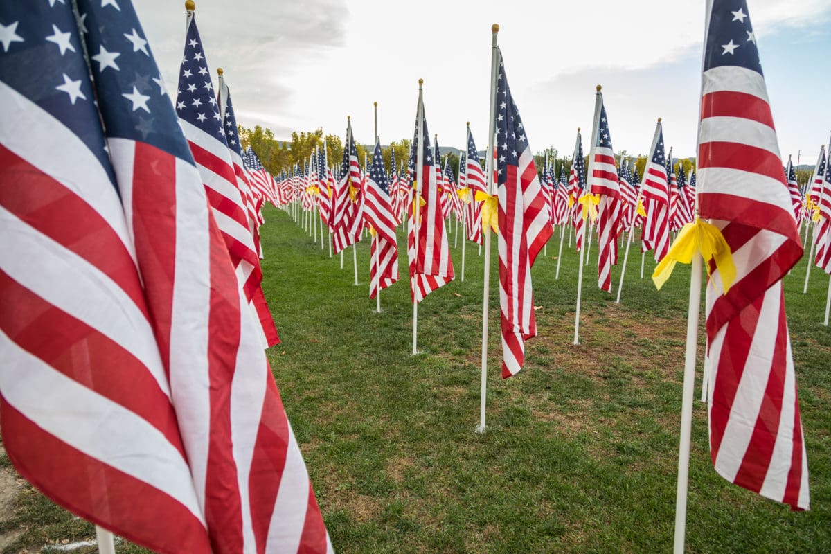 American Flags for Veterans Day