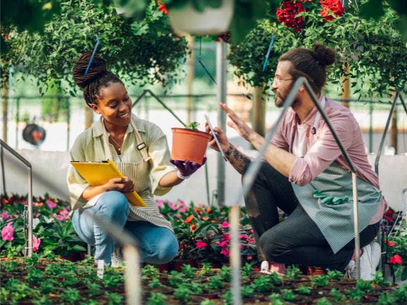 Diverse florist couple working at the plant nursery and using tablet.