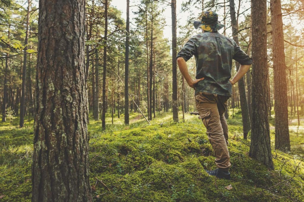 How To Become A Forestry Technician