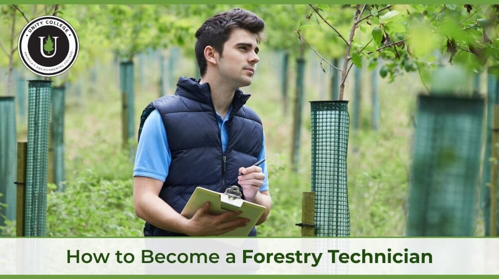 How To Become A Forestry Technician Unity College