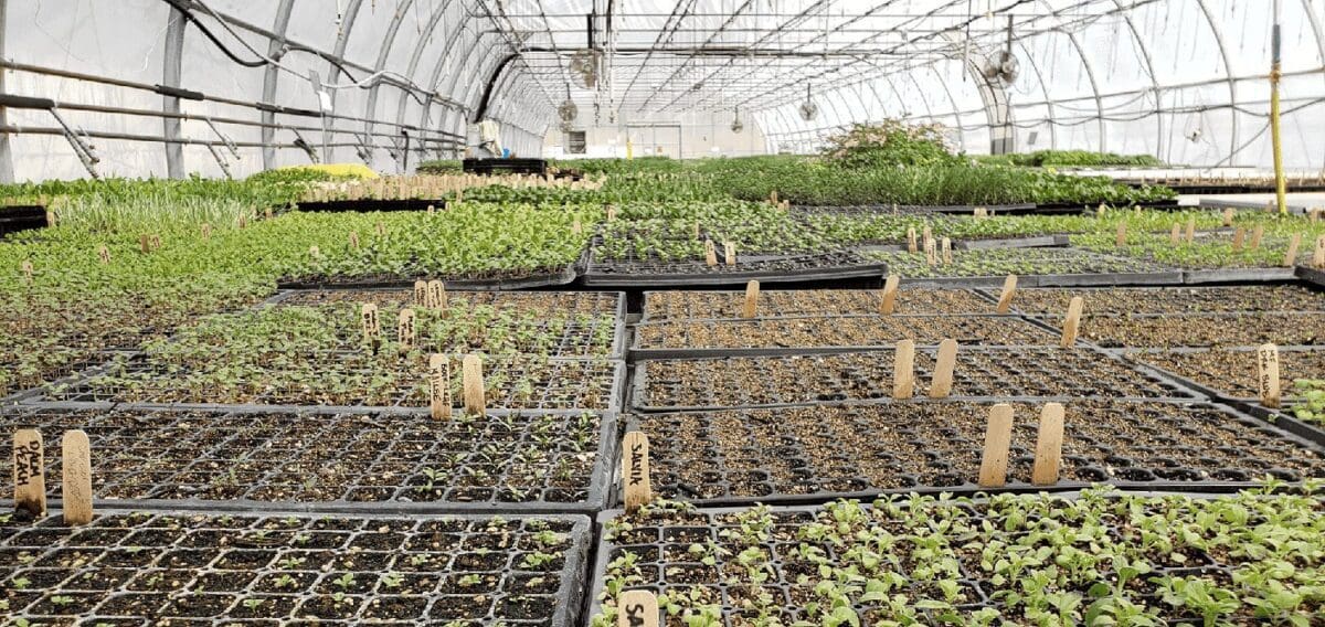 Greenhouse Rentals - Unity Environmental University