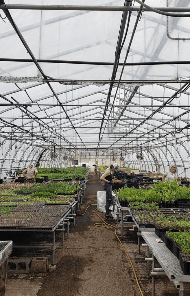 Mckay Farm Green House