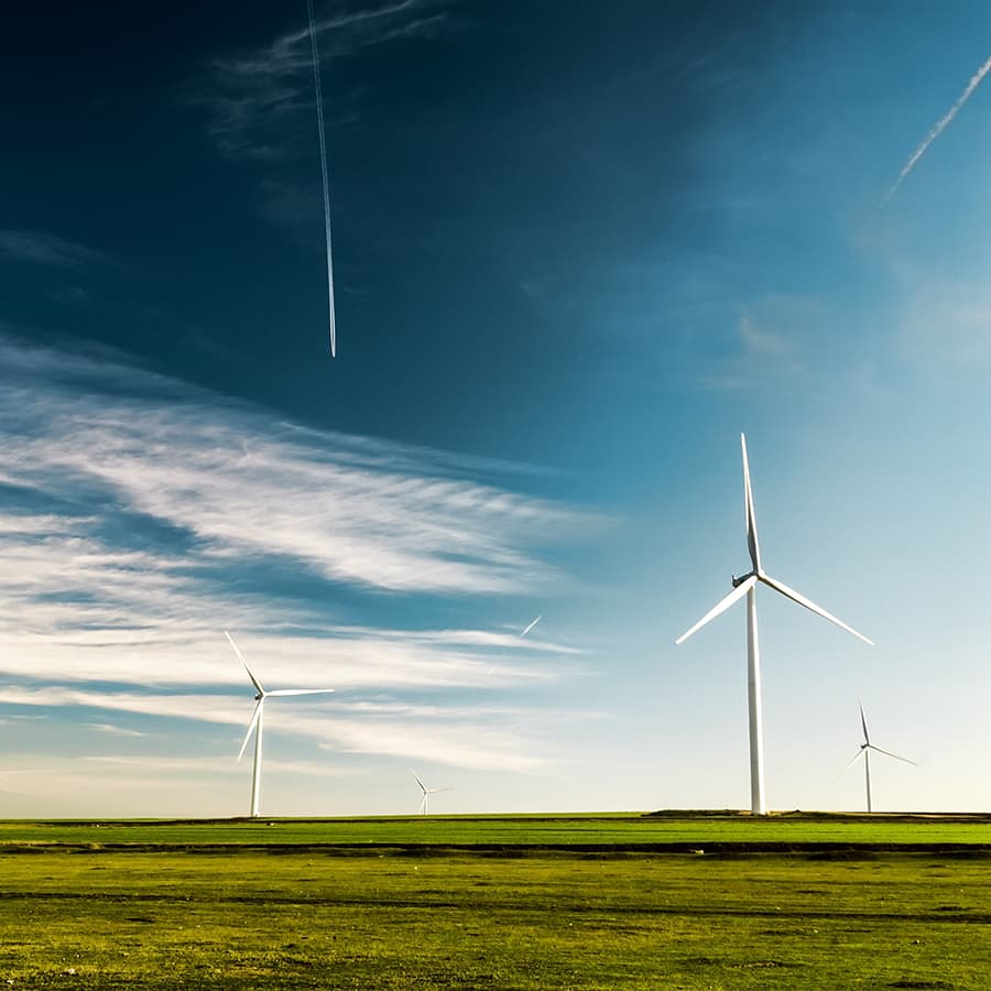 wind turbines out in field
