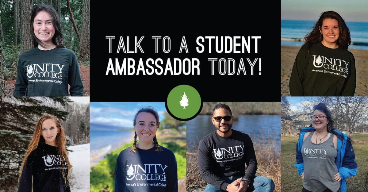 Student Ambassadors: What They Do & Why You Need Them