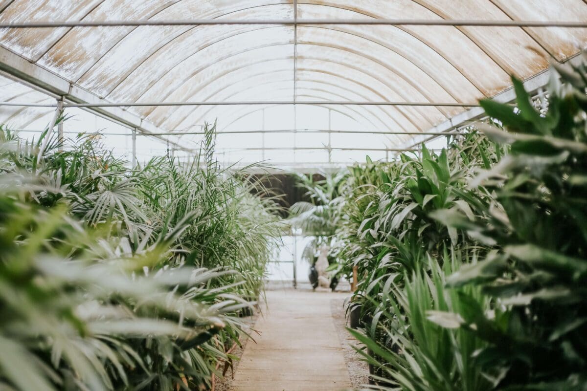 a greenhouse with a walkway