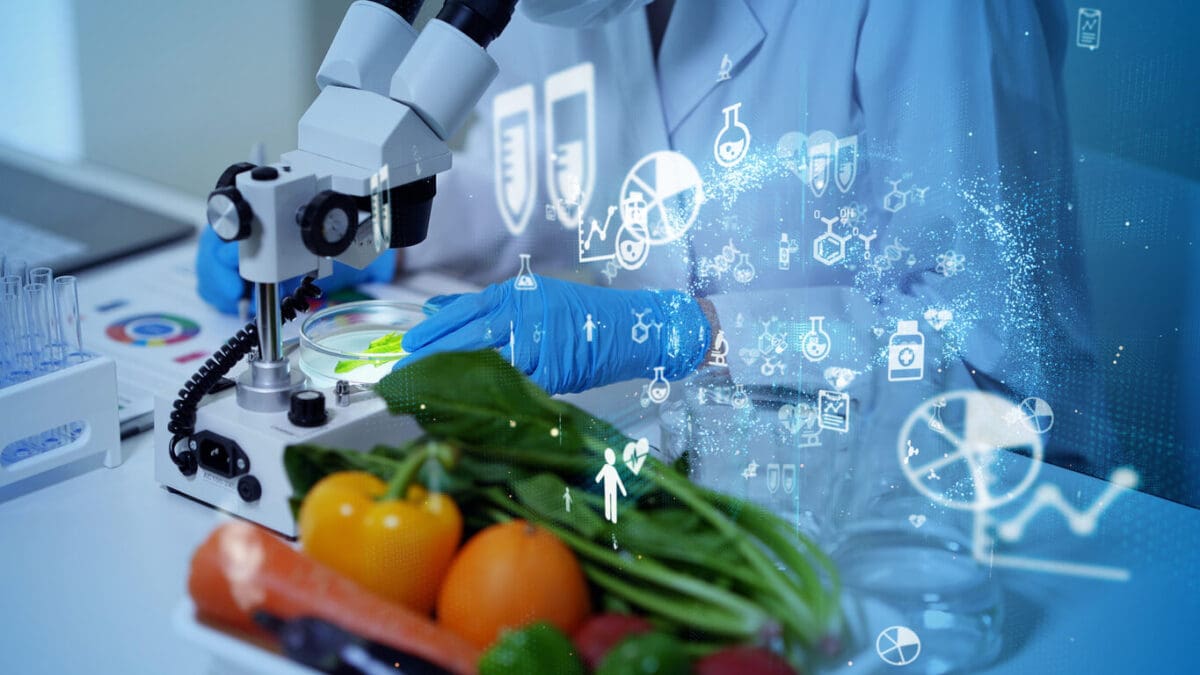 What Is Food Science, And Why Is Food Science Important?