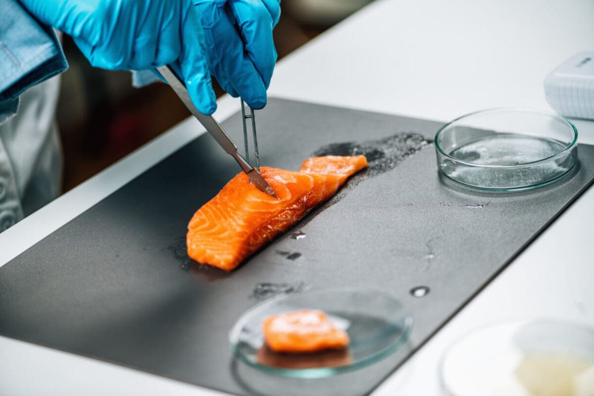 a scientist using lab tools to study a piece of salmon