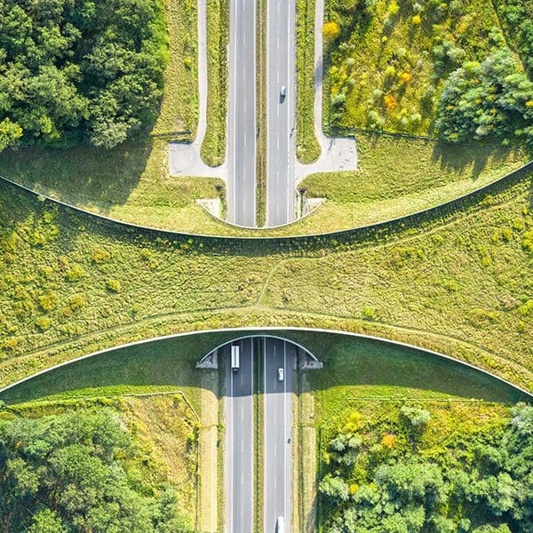 An aerial view of a wildlife crossing during the day.