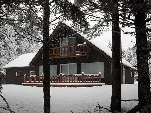 A dark brown wooden house sits surrounded by snow-covered trees.