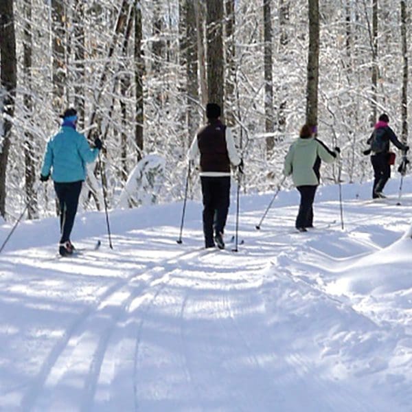 A group of people make their way down a snowy trail on cross-country skis.
