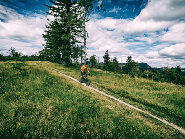 A person in a bright orange shirt races down a path on a mountain bike.