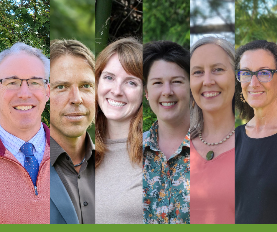 A collage of the five new distance education academic hires.