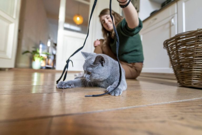 Animal Health and Behavior
