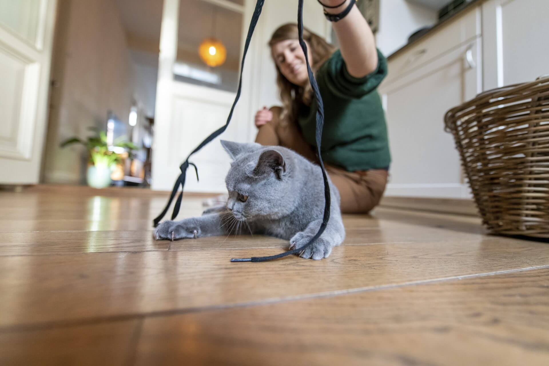 A woman sitting on the floor playing with a cat.