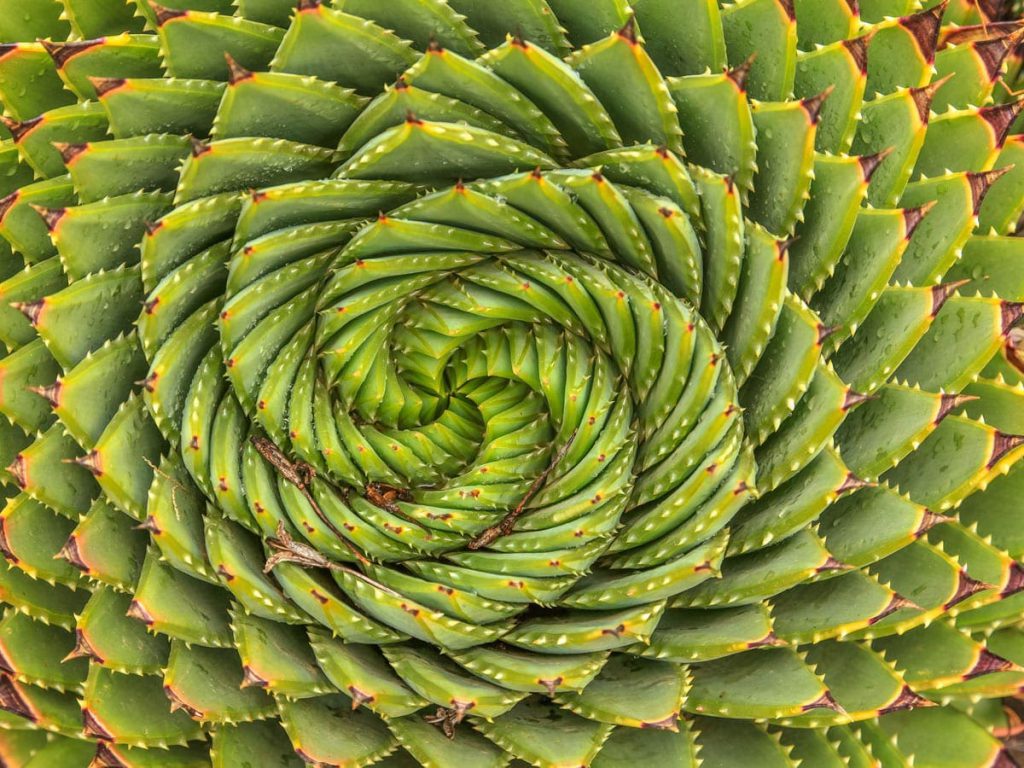 COVID – 19 Update 03-13-2020