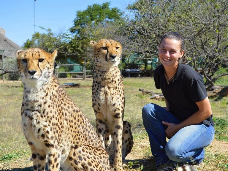Cheetah-New